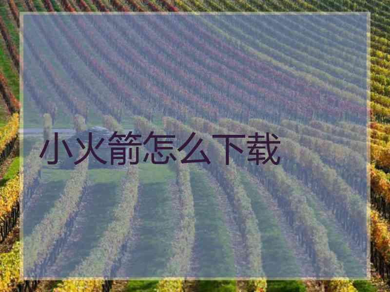 小火箭怎么下载 小火箭怎么下载