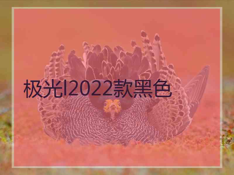 极光l2022款黑色 极光l2022款黑色
