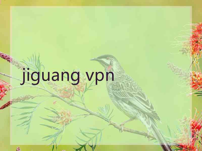 jiguang vpn jiguang vpn