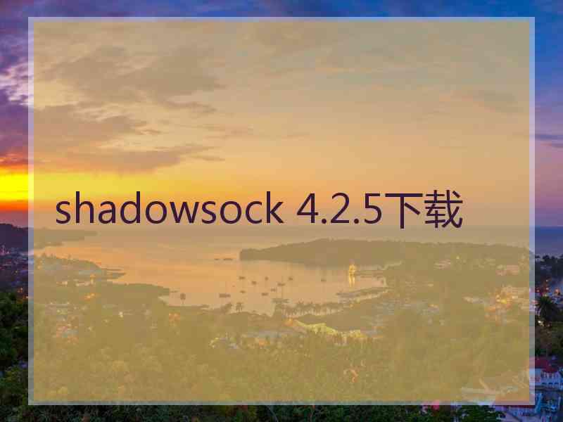 shadowsock 4.2.5下载 shadowsock 4.2.5下载