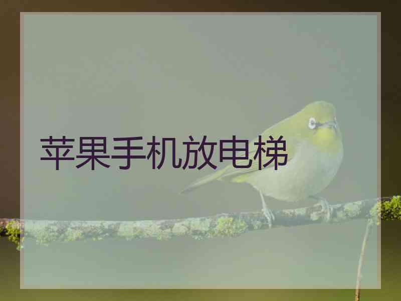 苹果手机放电梯 苹果手机放电梯