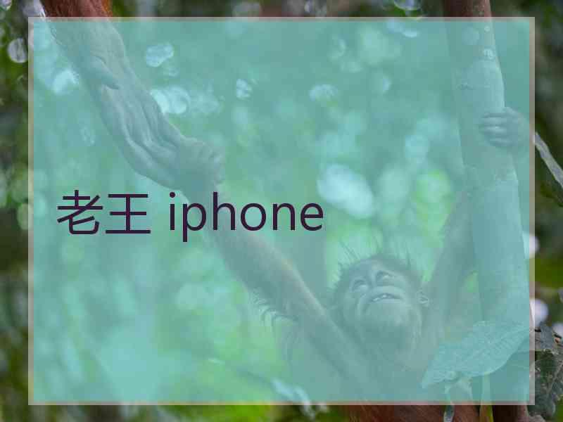 老王 iphone