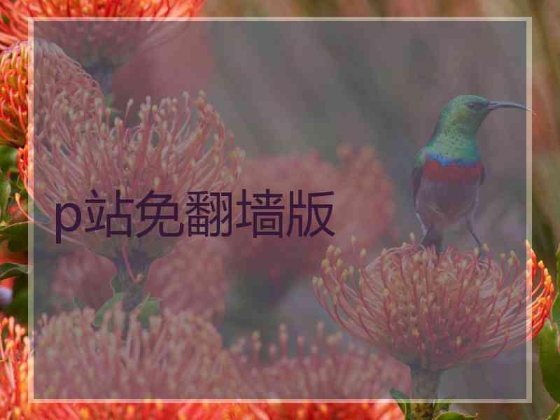 p站免翻墙版 p站免翻墙版