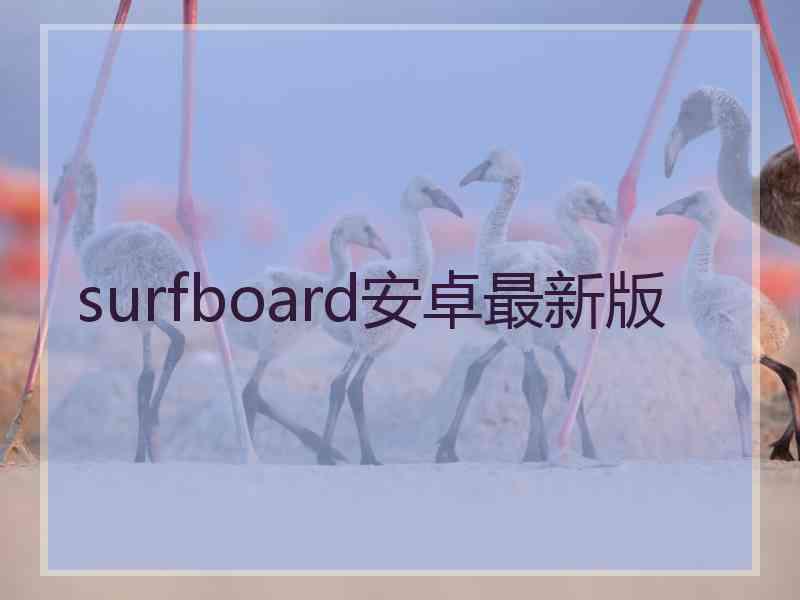 surfboard安卓最新版