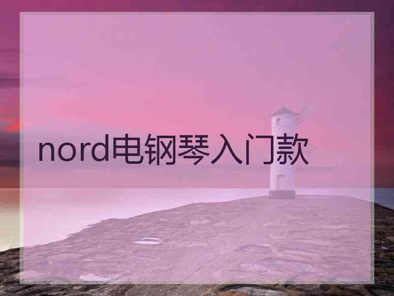nord电钢琴入门款 nord电钢琴入门款