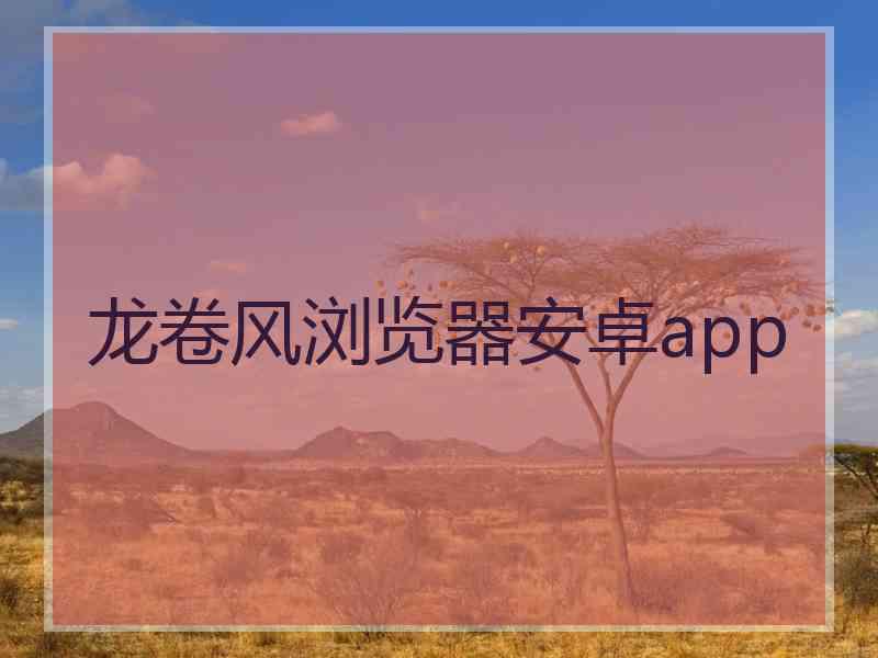 龙卷风浏览器安卓app
