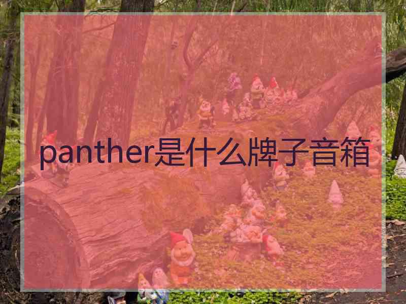 panther是什么牌子音箱 panther是什么牌子音箱