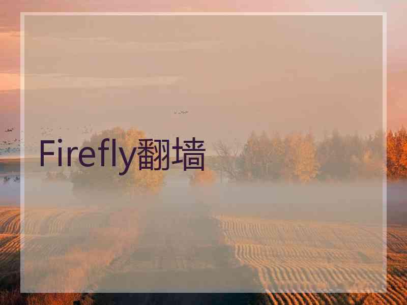 Firefly翻墙 Firefly翻墙