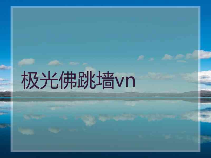 极光佛跳墙vn