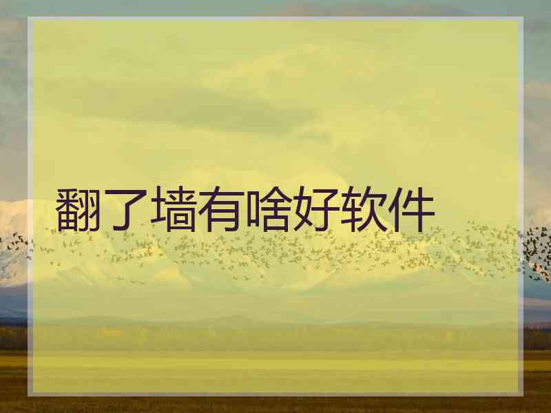 翻了墙有啥好软件