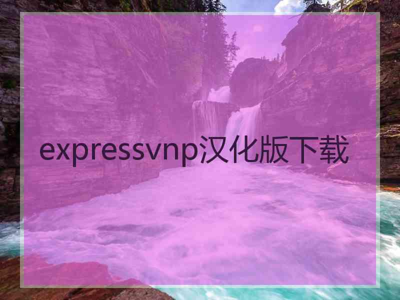 expressvnp汉化版下载