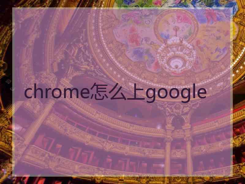 chrome怎么上google