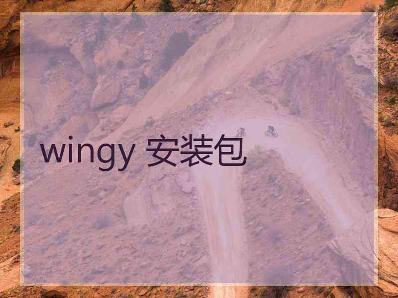 wingy 安装包