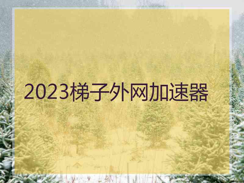 2023梯子外网加速器