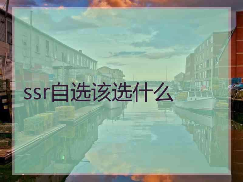 ssr自选该选什么