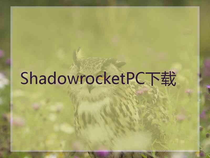 ShadowrocketPC下载