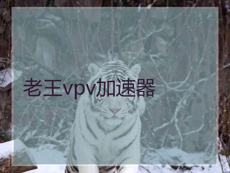 老王vpv加速器