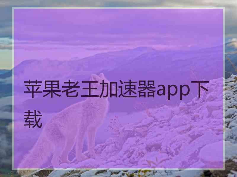 苹果老王加速器app下载