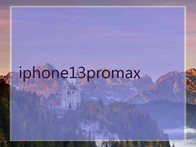 iphone13promax