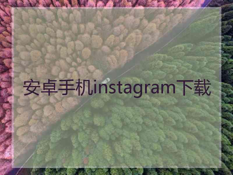 安卓手机instagram下载