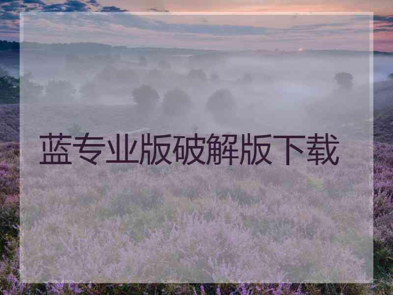 蓝专业版破解版下载