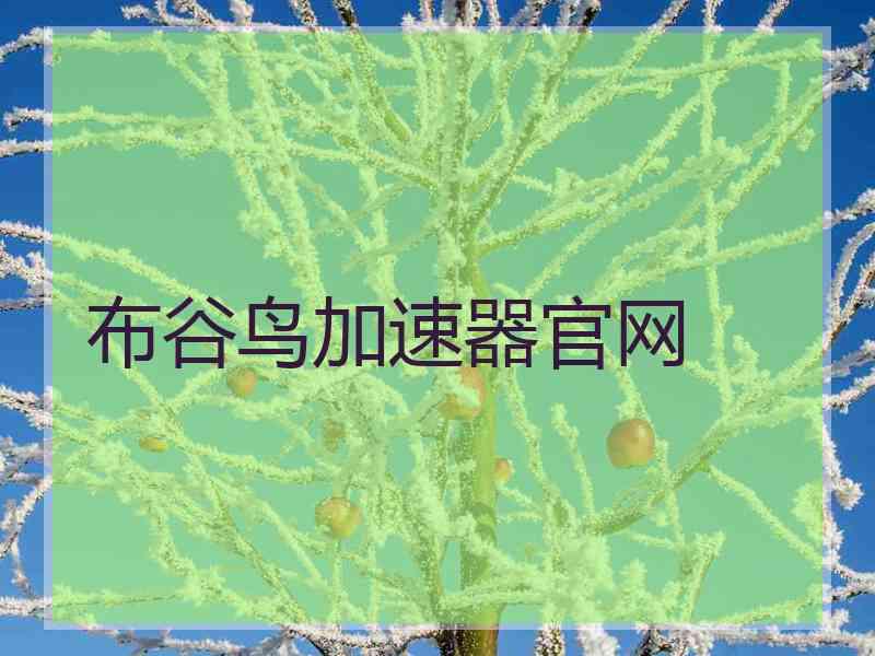 布谷鸟加速器官网