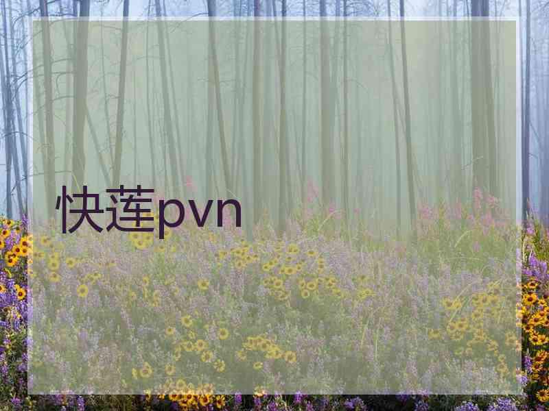 快莲pvn