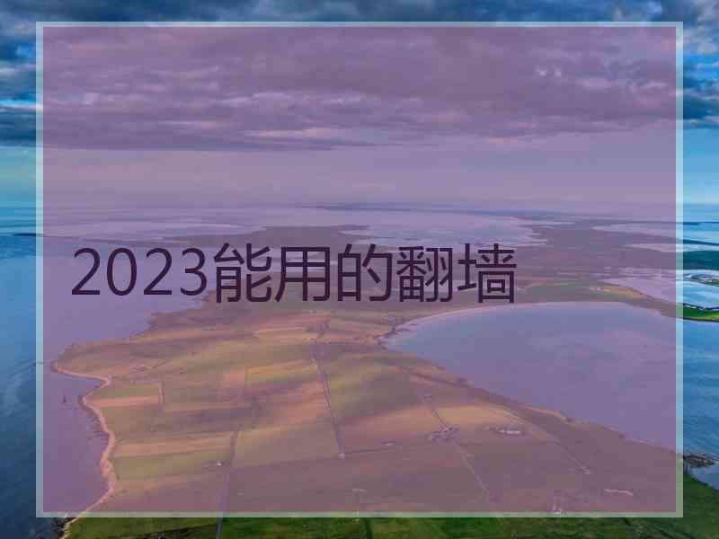 2023能用的翻墙