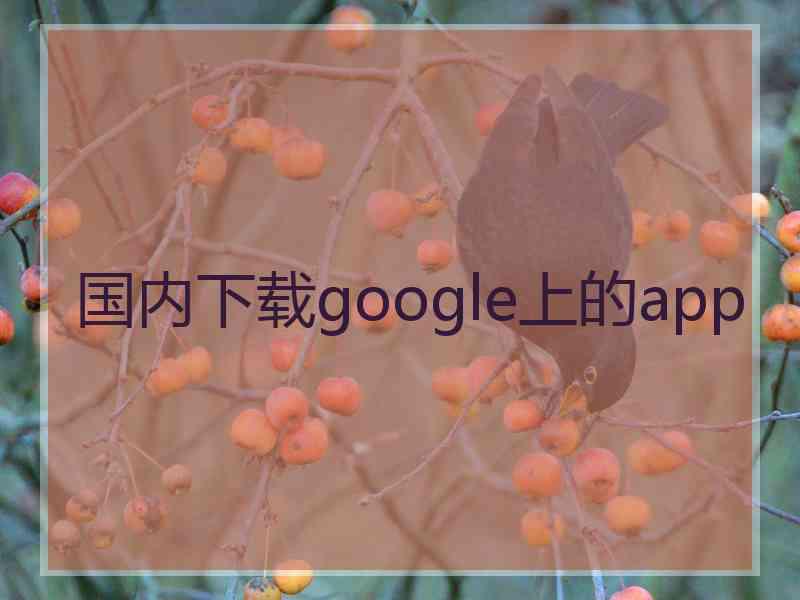 国内下载google上的app