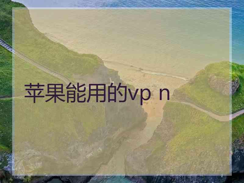 苹果能用的vp n