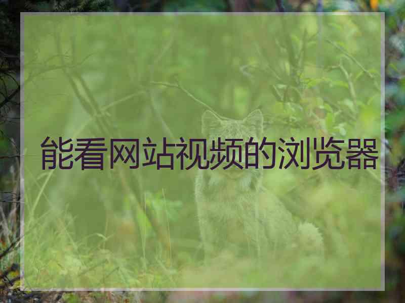 能看网站视频的浏览器