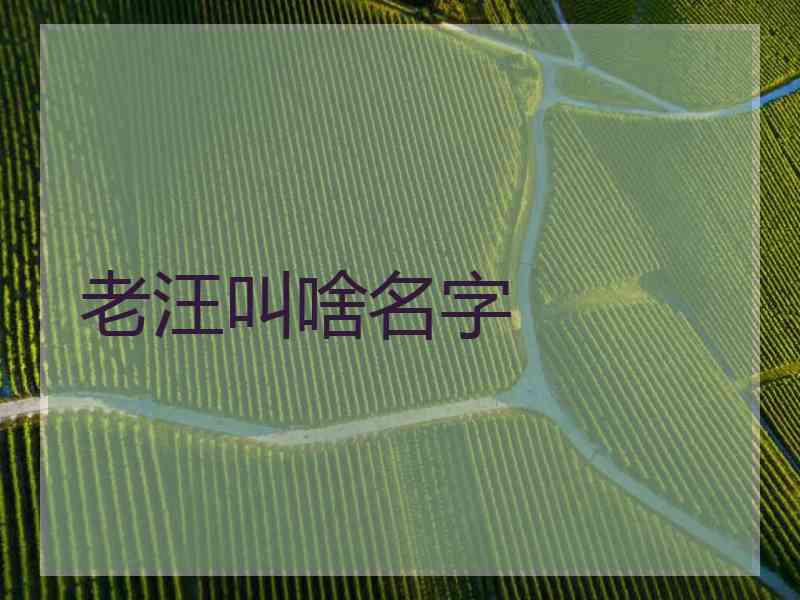 老汪叫啥名字