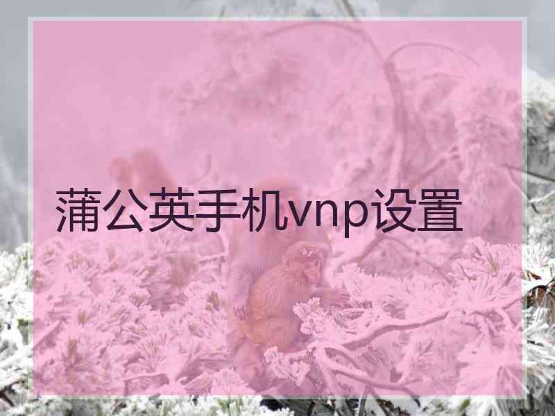 蒲公英手机vnp设置