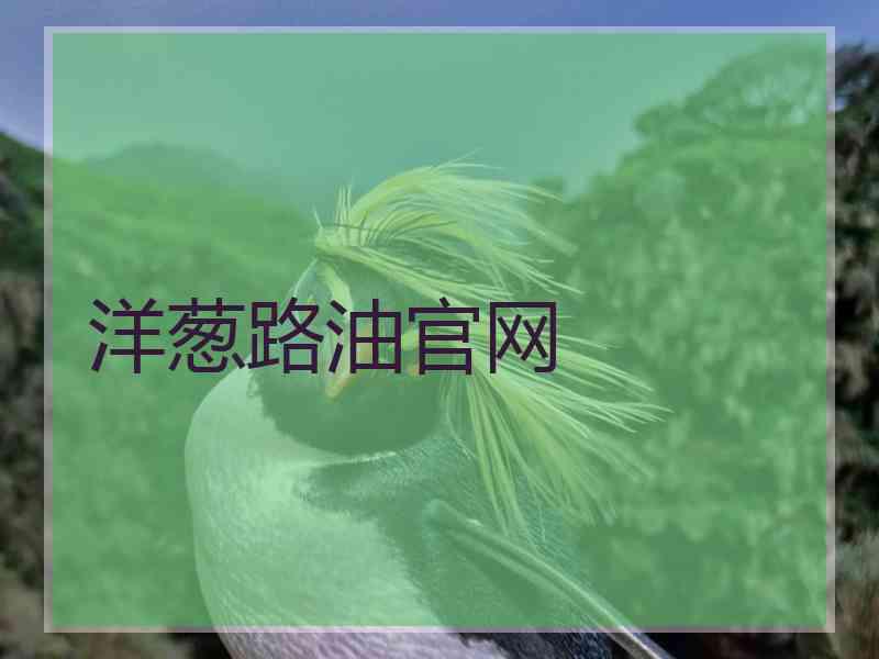 洋葱路油官网