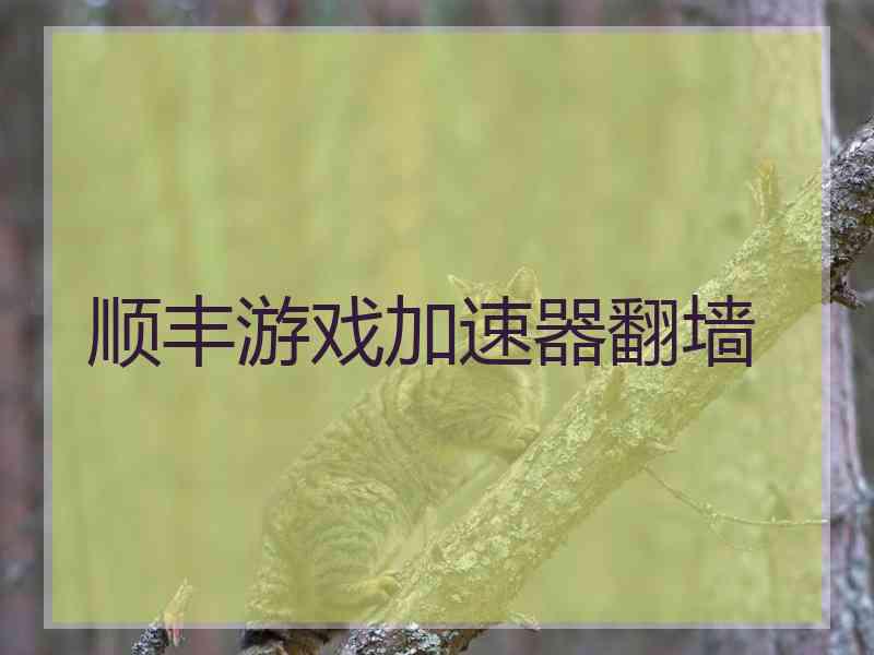 顺丰游戏加速器翻墙