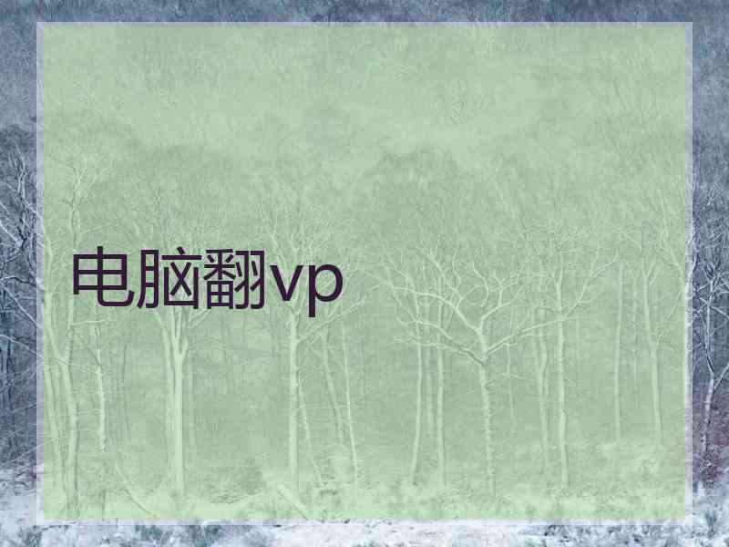 电脑翻vp