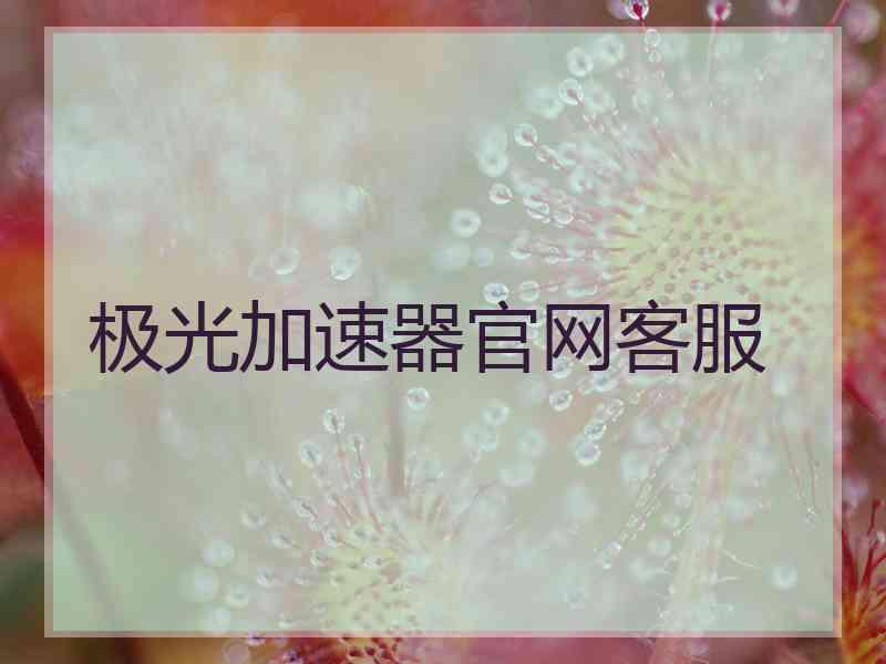 极光加速器官网客服