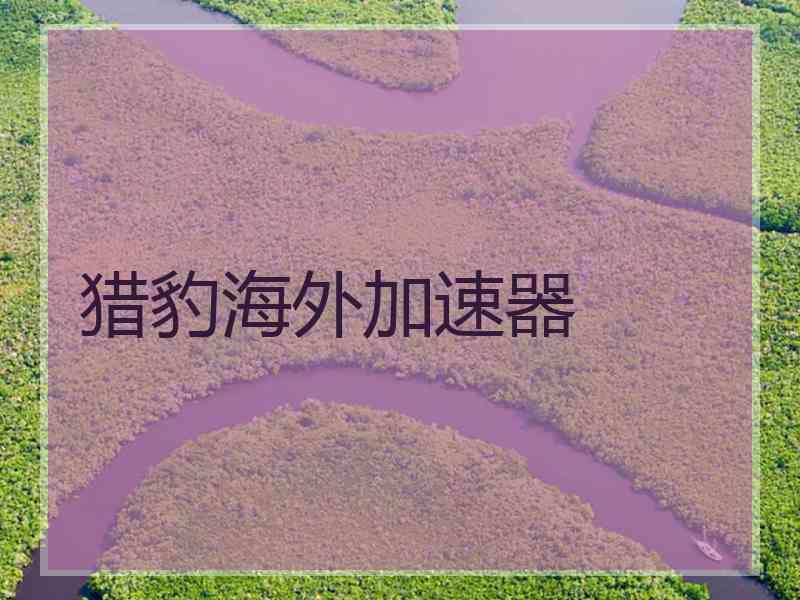 猎豹海外加速器