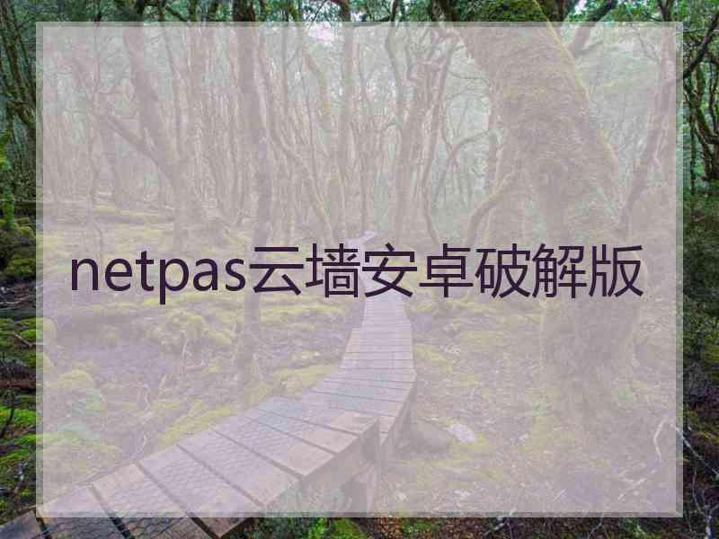 netpas云墙安卓破解版