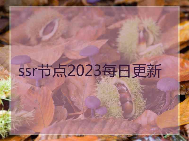 ssr节点2023每日更新