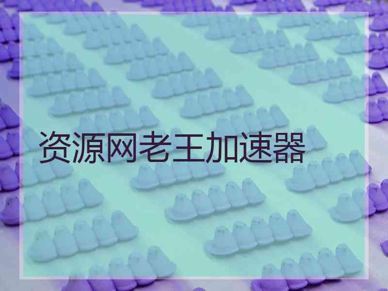 资源网老王加速器