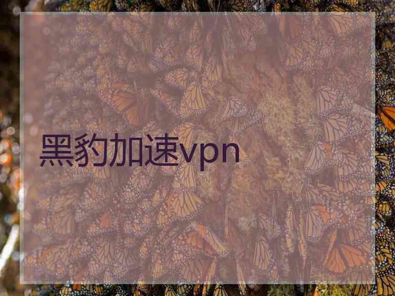 黑豹加速vpn