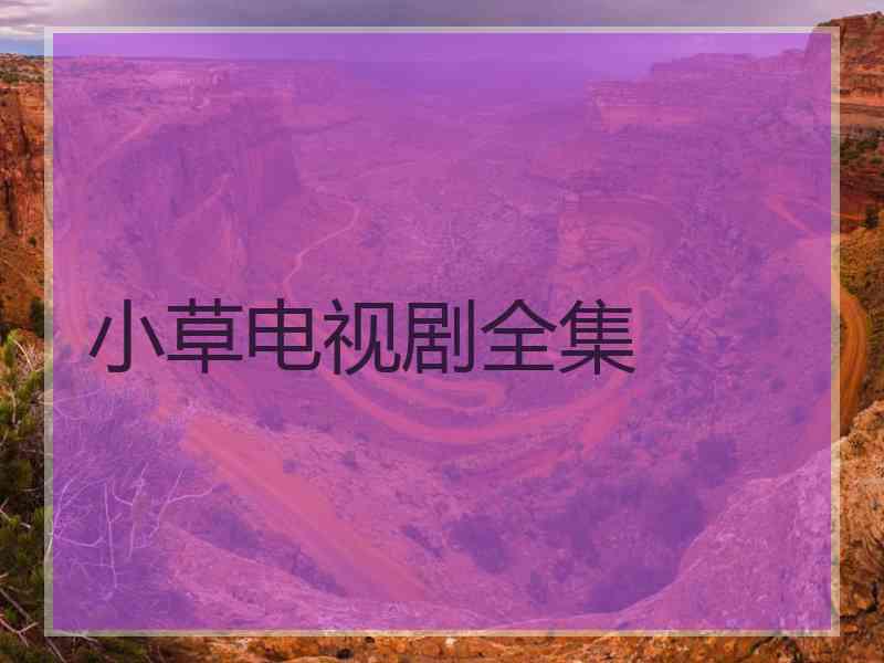 小草电视剧全集