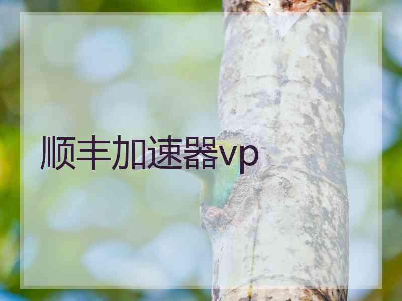 顺丰加速器vp