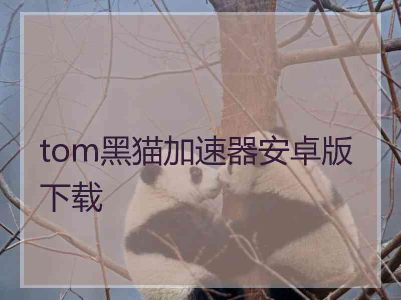 tom黑猫加速器安卓版下载