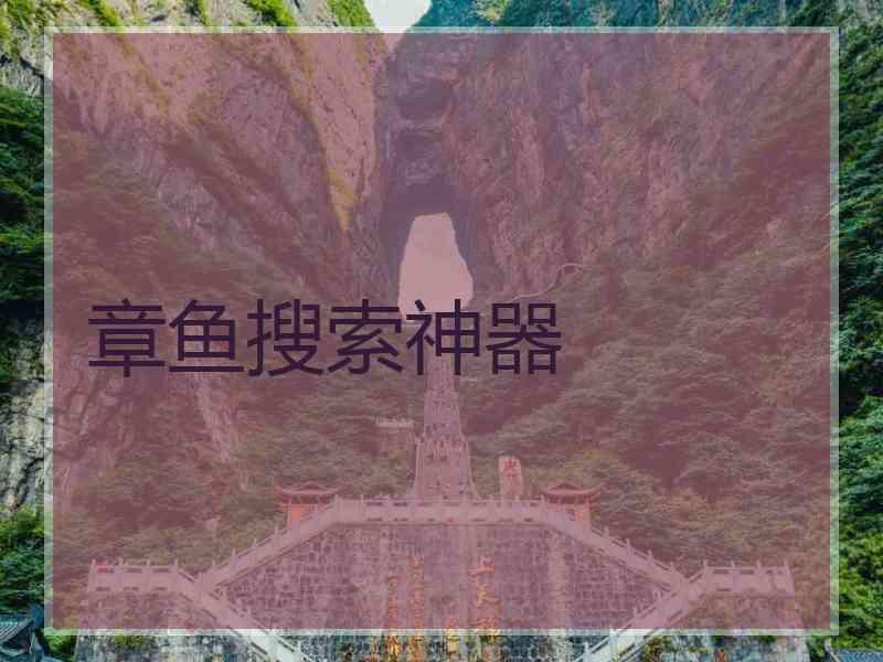 章鱼搜索神器