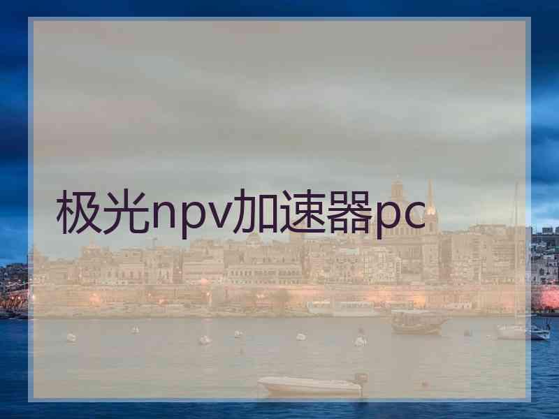 极光npv加速器pc