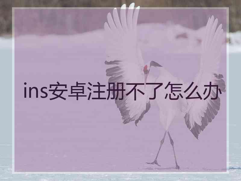 ins安卓注册不了怎么办