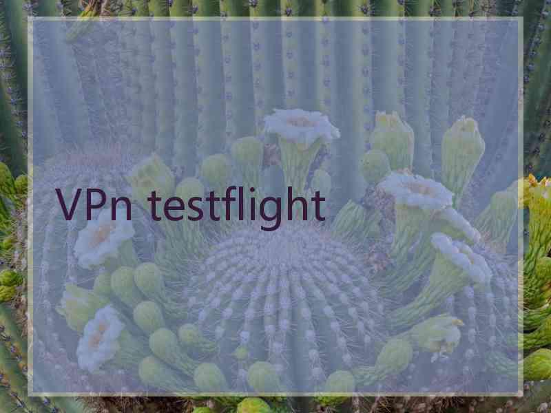 VPn testflight