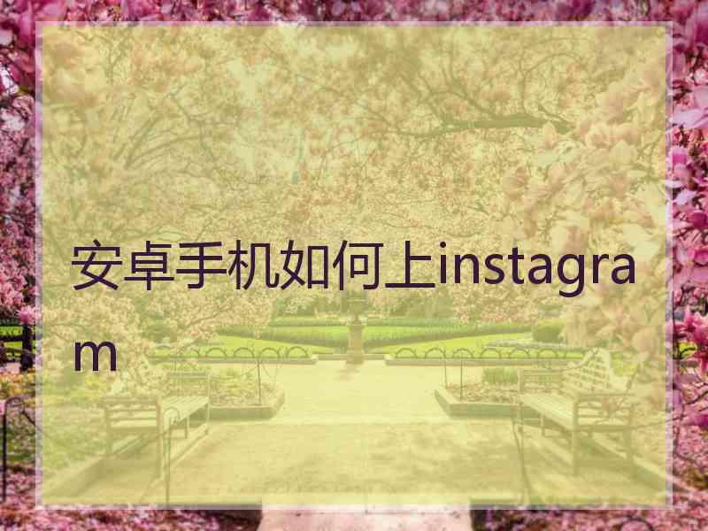 安卓手机如何上instagram